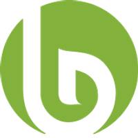 logo blumfeldt