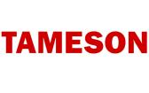 logo tameson